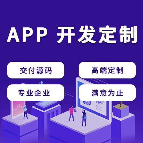 做软件 做开发 首先选择的公司要有一定的实力 有能力完成需求