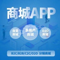 APP开发