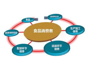 广东发布新食品安全追溯系统